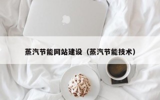 伊犁哈萨克蒸汽节能网站建设（蒸汽节能技术）